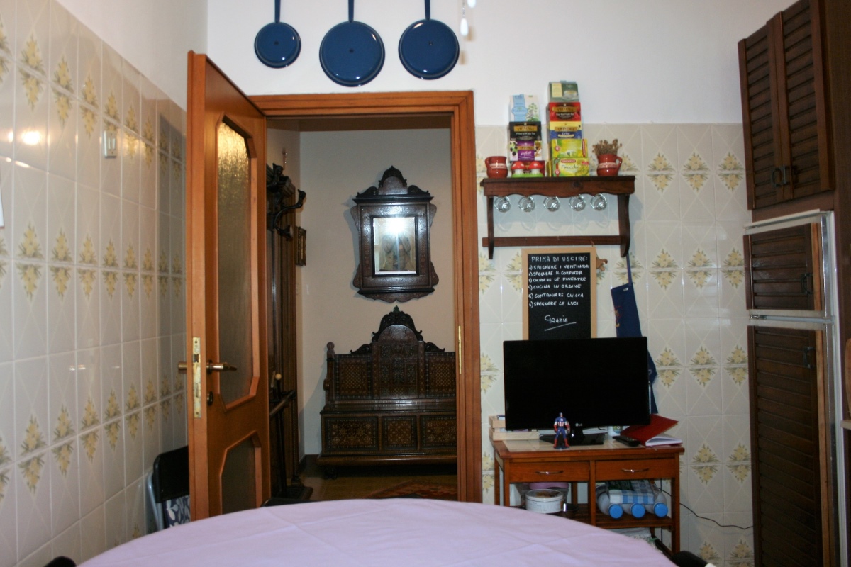 Appartamento MILANO affitto  Milano  Arena Immobiliare